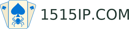 1515IP.COM